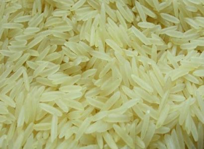 IRRI-9 Long Grain Parboiled